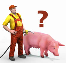 Prasacia chr�pka vs. ceny pal�v